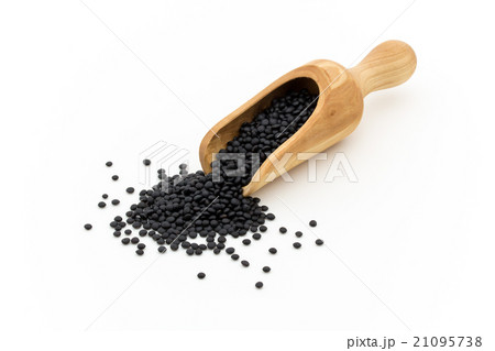 黒レンズ豆:black lentils 21095738