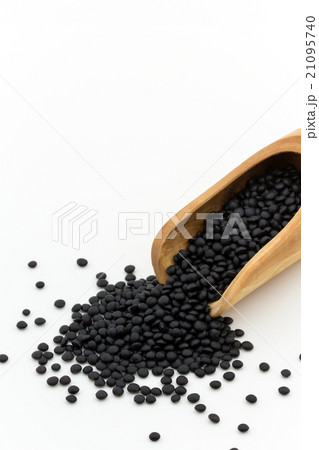 黒レンズ豆:black lentils 黒レンズ豆:black lentils 21095740