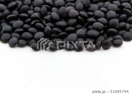 黒レンズ豆:black lentils 21095744