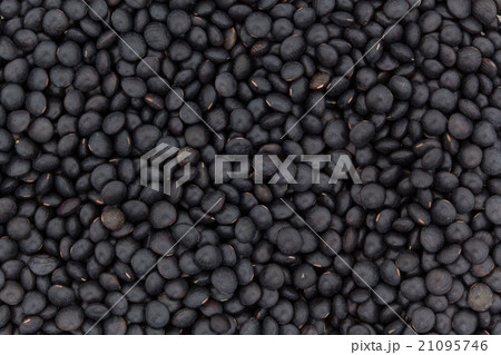 黒レンズ豆:black lentils 21095746