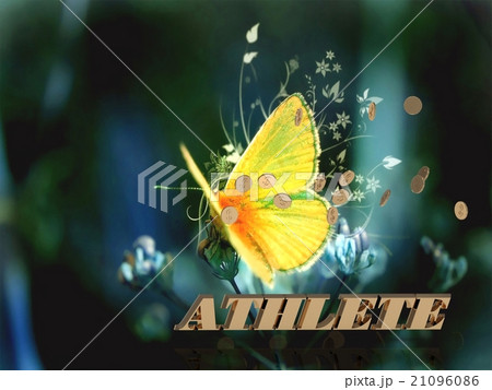 ATHLETE  word, Bright beautiful moth or butterfly 21096086