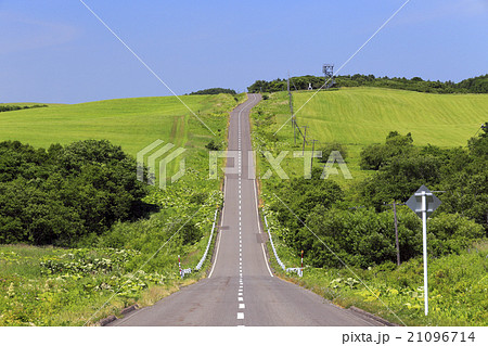 7月 北海道のまっすぐな道 根釧台地の広大な風景 の写真素材