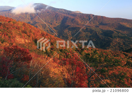 10月 紅葉の磐梯吾妻スカイライン 土湯温泉方面の展望 の写真素材