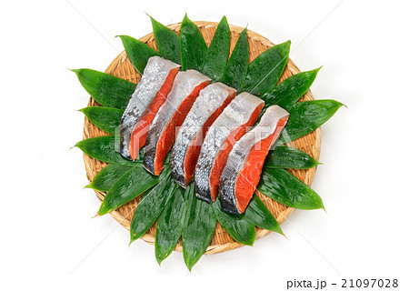 紅鮭の切身 紅鮭の切身 21097028