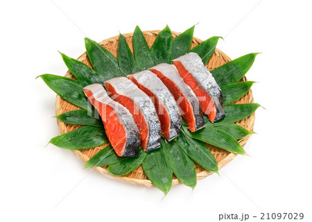 紅鮭の切身 紅鮭の切身 21097029