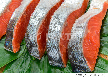 紅鮭の切身 紅鮭の切身 21097030