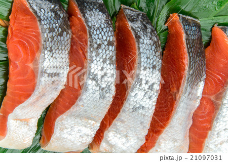 紅鮭の切身 21097031