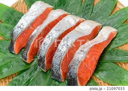 紅鮭の切身 21097033