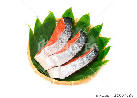 紅鮭の切身 21097036