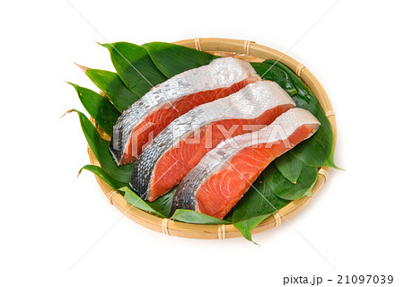 紅鮭の切身 21097039