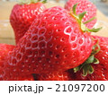 いちご 21097200