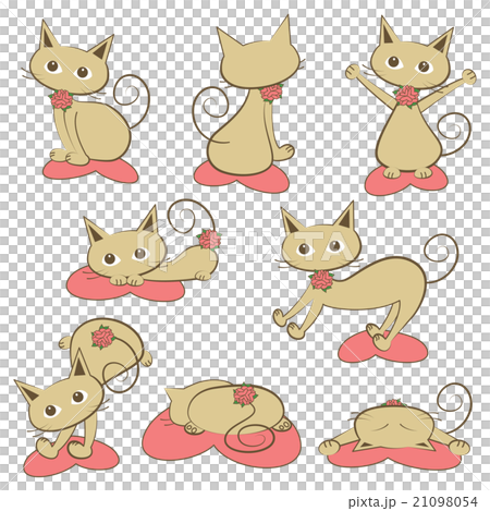 貓圖設置 貓圖設置 21098054