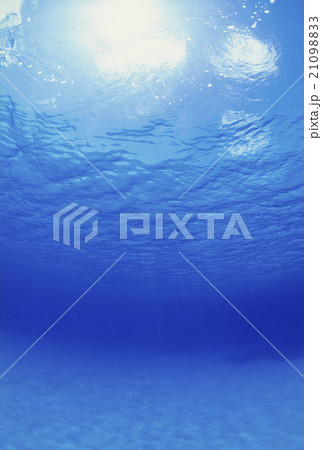 海中から見た海面と太陽 海中から見た海面と太陽 21098833