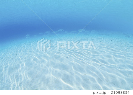 モルジブの明るい海中 モルジブの明るい海中 21098834