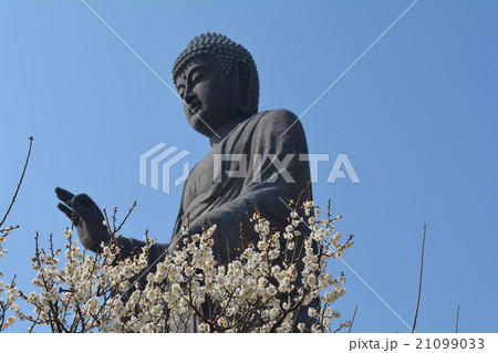 牛久の大仏 牛久の大仏 21099033