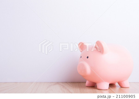 pink piggy bank 21100905