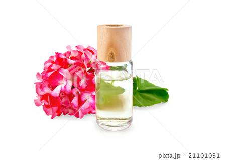 Oil with pink geraniums in glass bottle Oil with pink geraniums in glass bottle 21101031