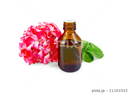 Oil with pink geraniums in dark bottle Oil with pink geraniums in dark bottle 21101032