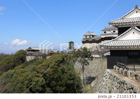 早春の松山城 21101353