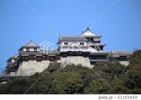 早春の松山城 早春の松山城 21101650