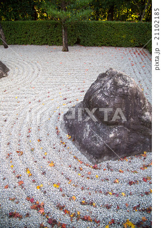 妙心寺退蔵院、枯山水に紅葉 21102185