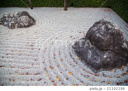 妙心寺退蔵院、枯山水に紅葉 21102186