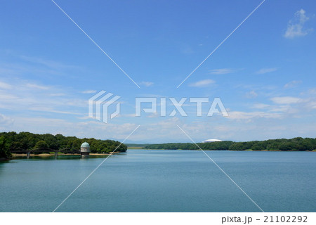 狭山公園から見た多摩湖（8月）東京都東大和市 21102292