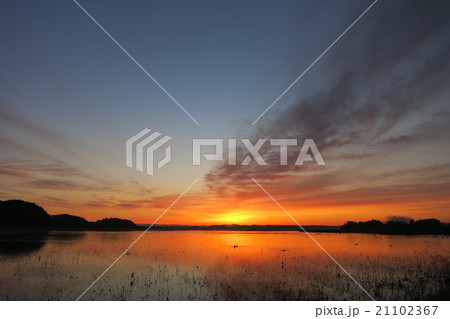 宮城・伊豆沼の夜明け 21102367