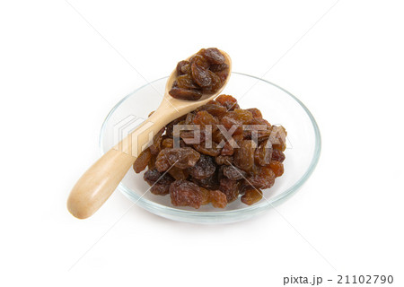 レーズン 21102790