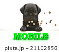 MOBILE  Bright word, Blackenning dog sort pug,  21102856