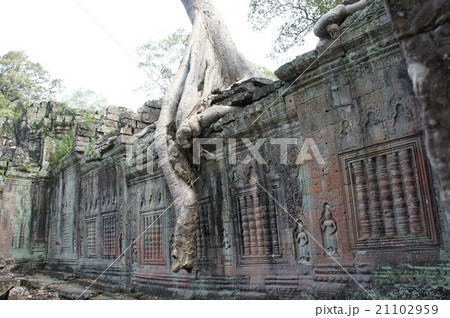 アンコールワット遺跡群、カンボジア 21102959