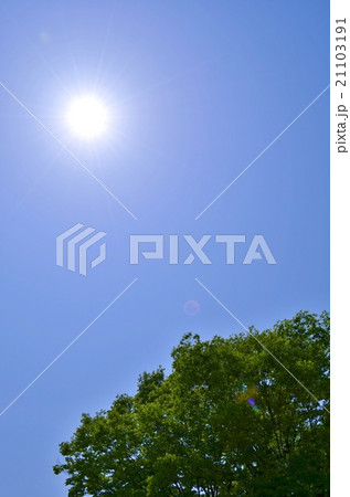 照りつくの太陽 照りつくの太陽 21103191