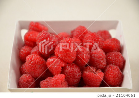 フランボワーズ ラズベリー framboise フランボワーズ ラズベリー framboise 21104061