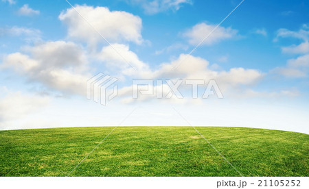 grass and sky grass and sky 21105252