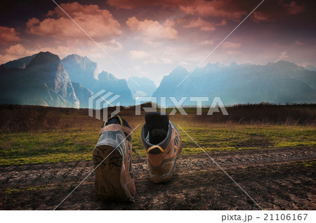 hiking boots hiking boots 21106167
