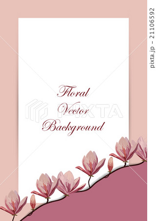 Spring floral background 21106592