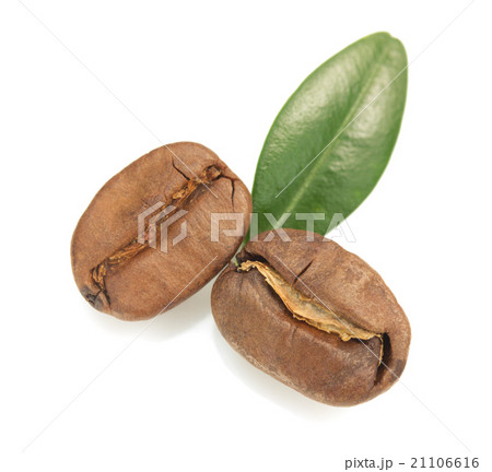 coffee beans isolated on white coffee beans isolated on white 21106616