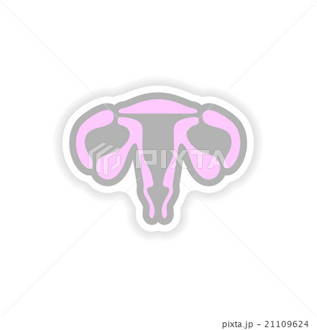 paper sticker on white background woman vagina paper sticker on white background woman vagina 21109624