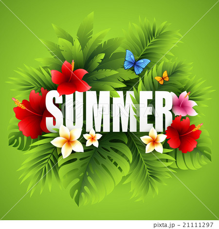 Summer tropical background of palm leaves and 21111297