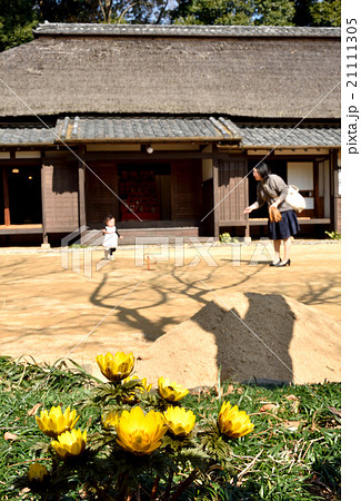 古民家の庭の写真素材