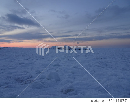 夕暮れの流氷 21111877