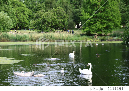 ロンドン紀行　その１０２　：　憩いの公園　その１０ 21111914