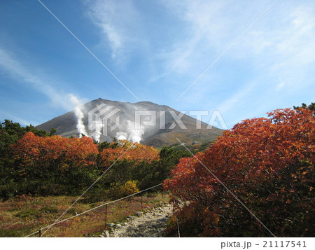 すがすがしい秋の旭岳と紅葉 21117541
