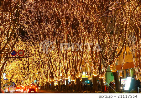 仙台・光のページェント 21117554