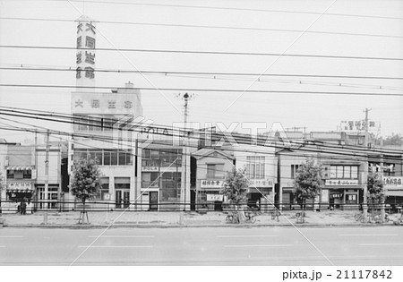 東京渋谷 青山通り 21117842