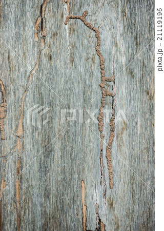 Abstract background from old wood Abstract background from old wood 21119196