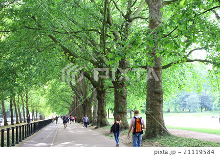 ロンドン紀行 その108 : 憩いの公園 その13 : 花と植物が織りなす色紙 その68 ロンドン紀行 その108 : 憩いの公園 その13 : 花と植物が織りなす色紙 その68 21119584