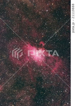 M16 わし星雲 M16 わし星雲 21119888