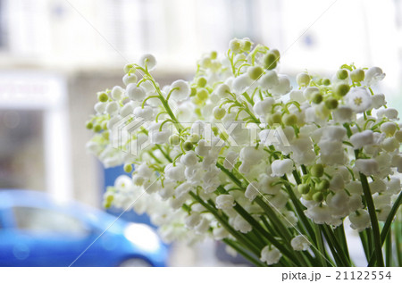 パリの街とすずらん 21122554