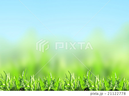 Green grass Green grass 21122778
